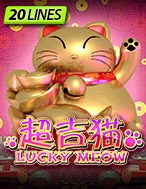 Lucky Meow