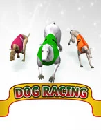 Dog Racing 2
