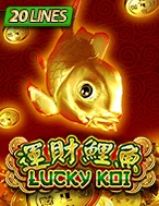 Lucky Koi